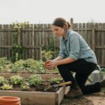 Decoradhouse Garden Tips by DecoratorAdvice Easy Gardening Guide