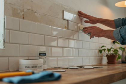 Kitchen Upgrading Advice Mintpalment